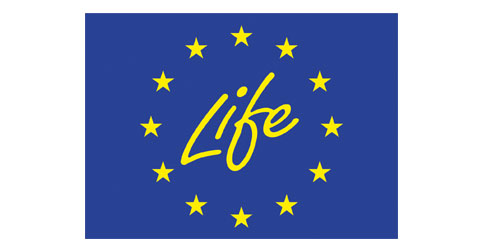 Life logo