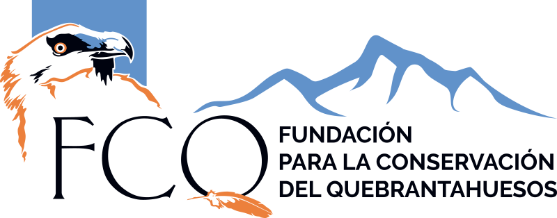 FCQ